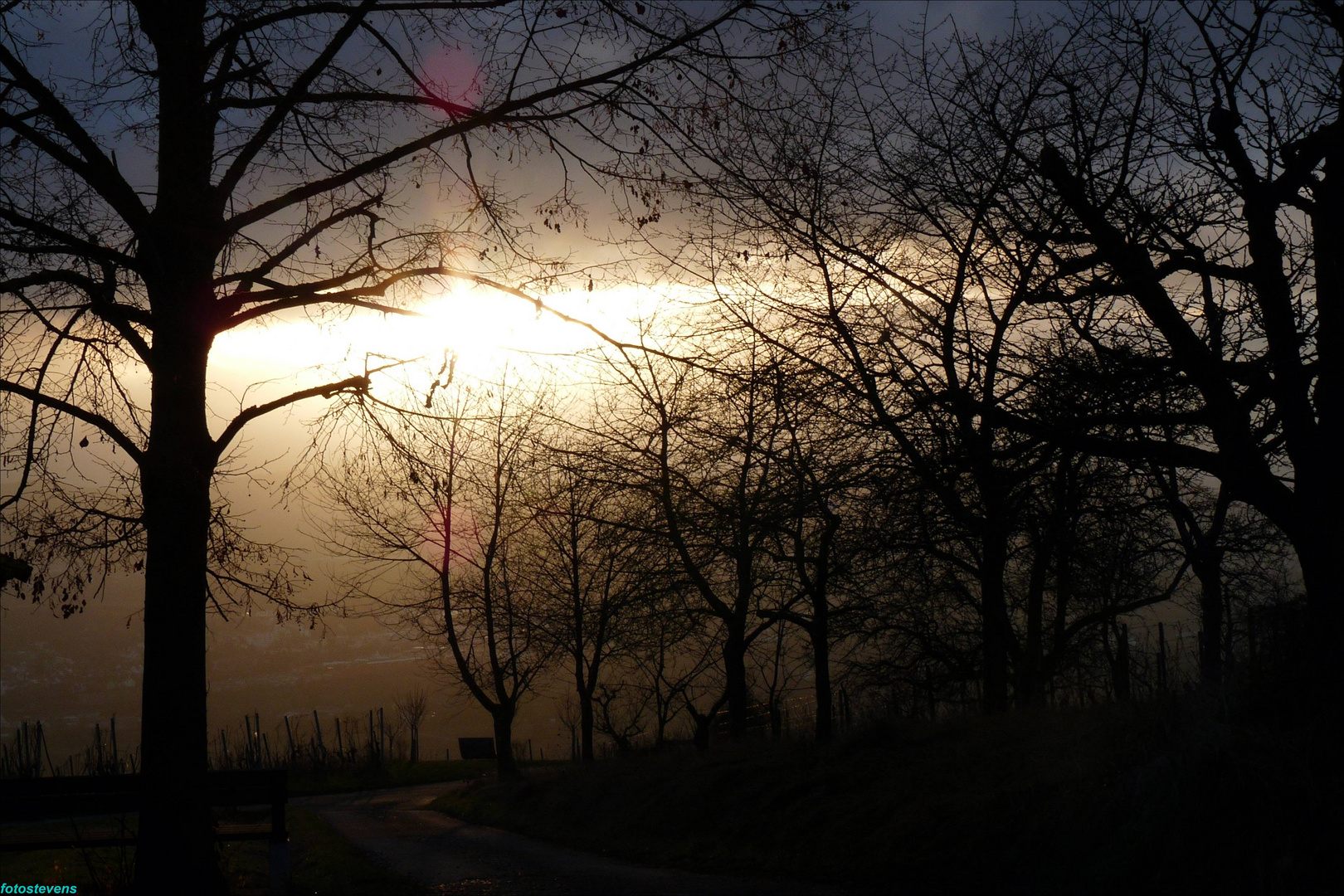 Sonnenuntergang Weinberg Korb