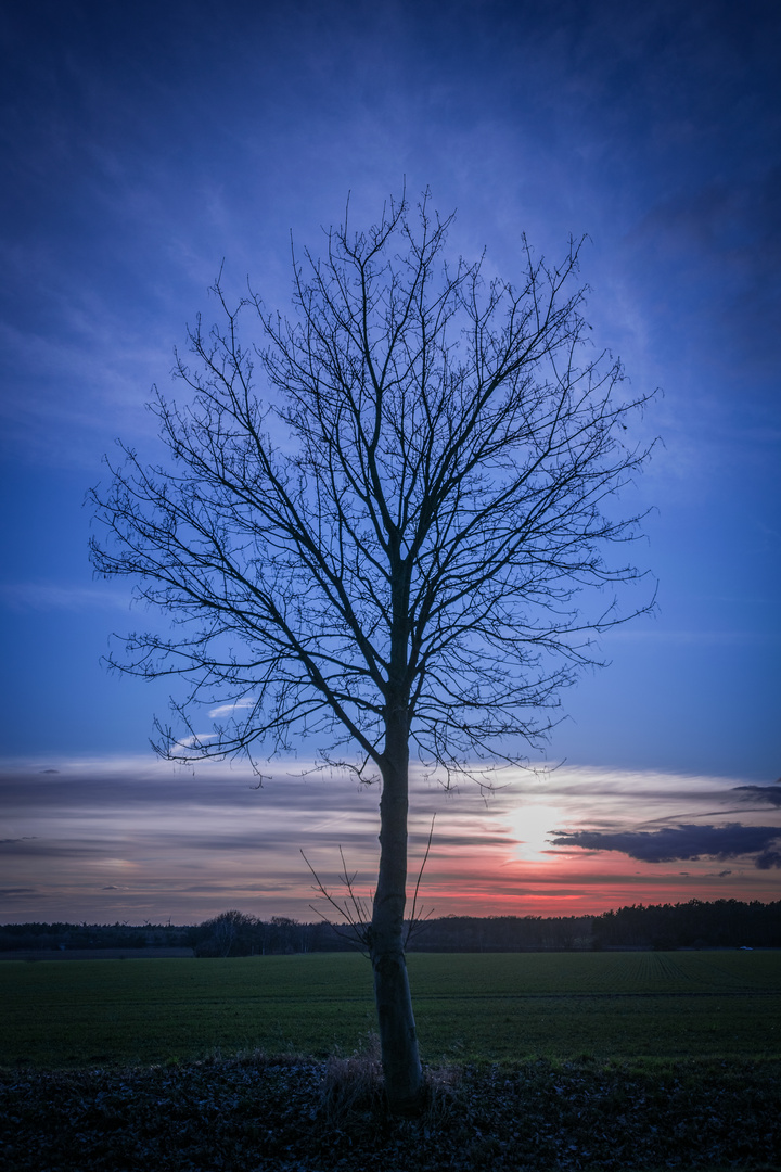 Sonnenuntergang Wendisch Evern