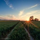 Sonnenuntergang Wernigerode