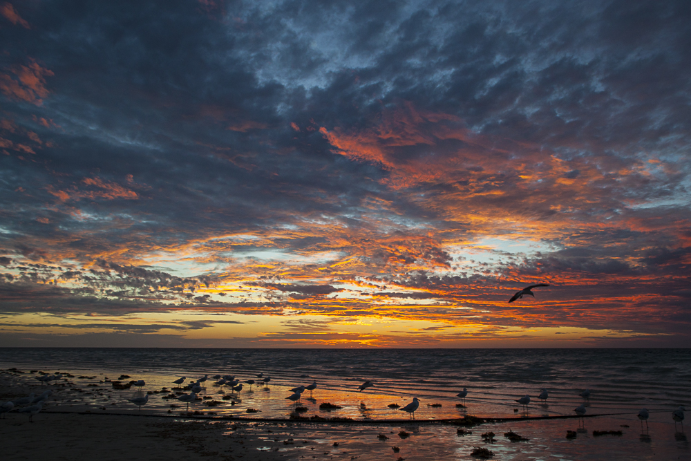 Sonnenuntergang West Australien