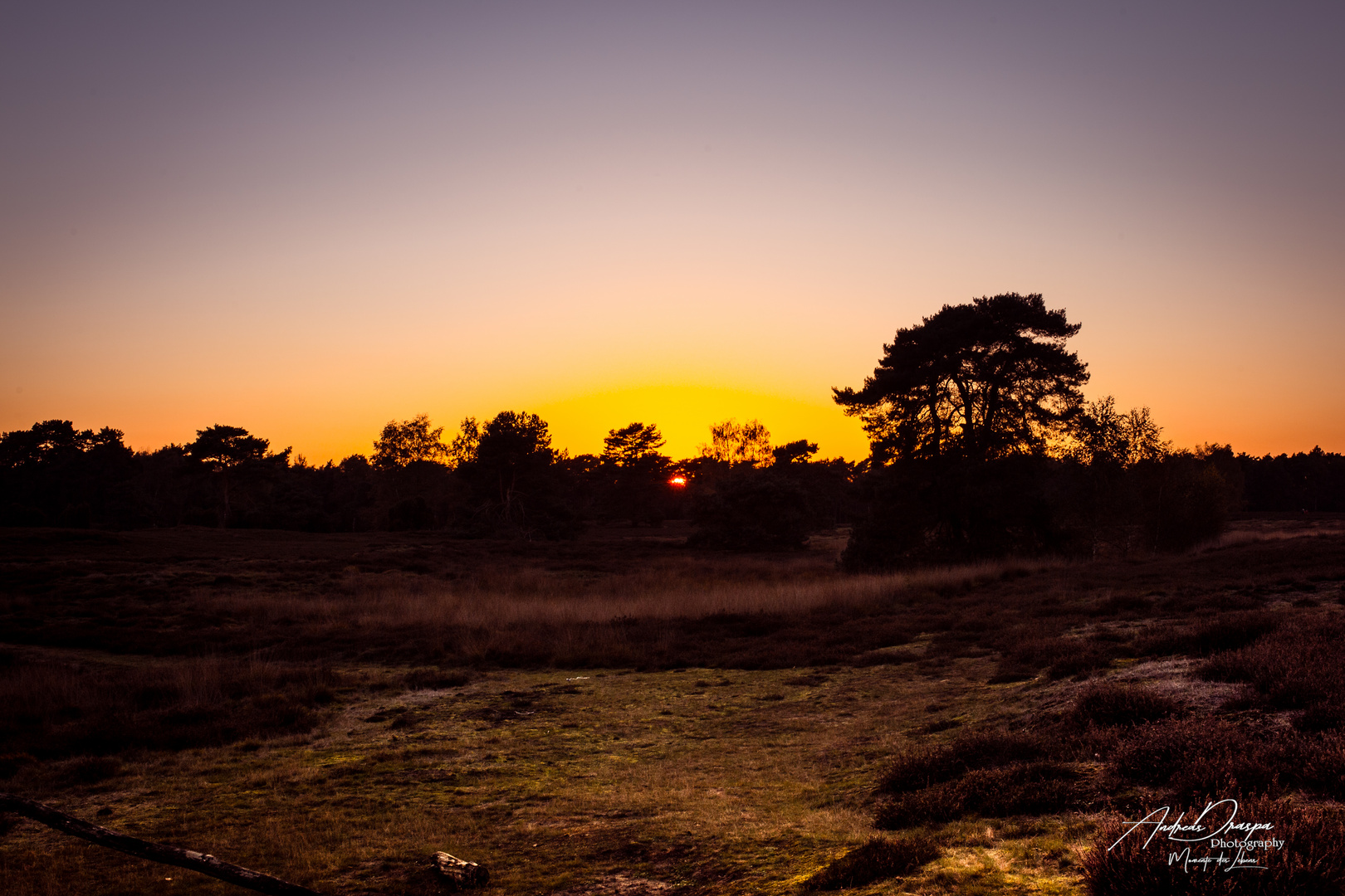 Sonnenuntergang Westruper Heide