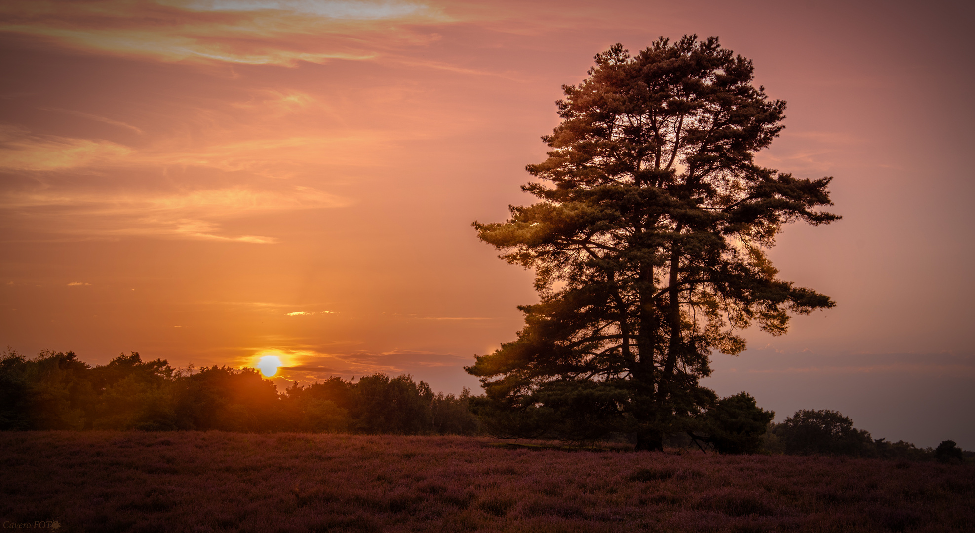 Sonnenuntergang Westrupper Heide