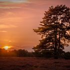 Sonnenuntergang Westrupper Heide