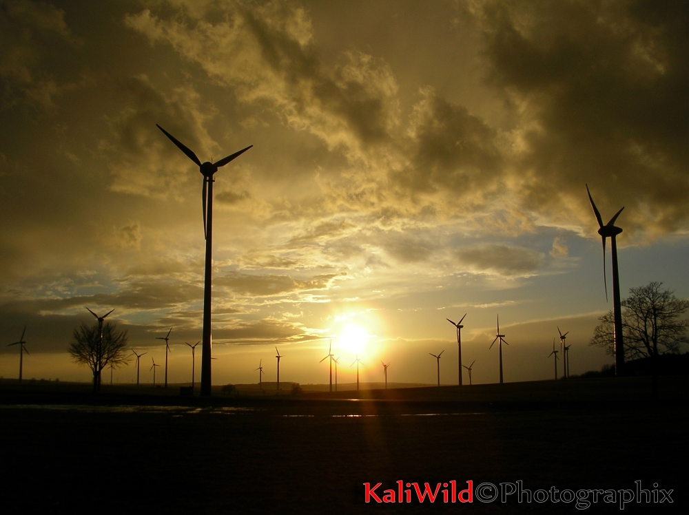 Sonnenuntergang Windpark Lichtenau (2006)