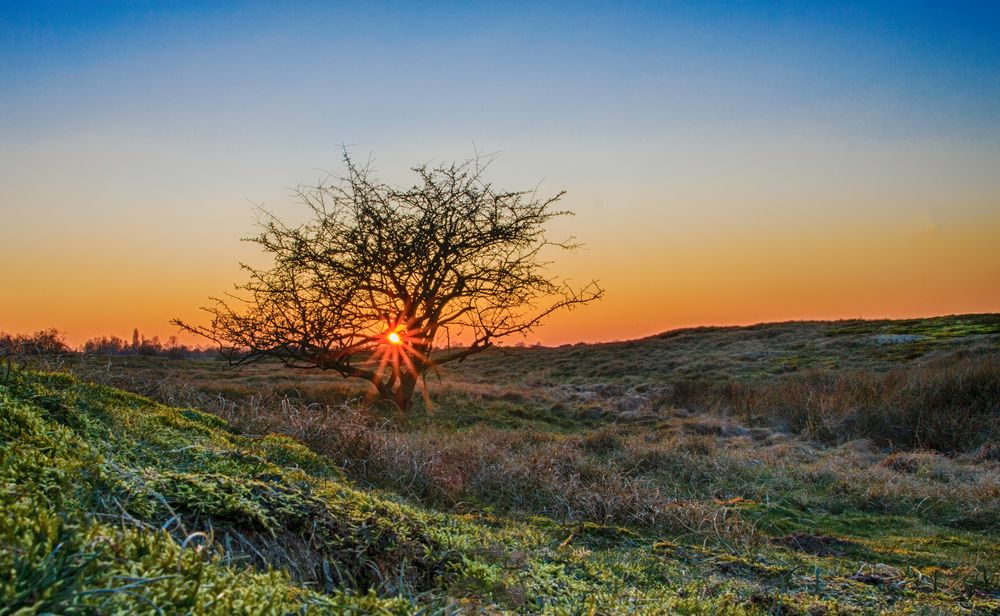 Sonnenuntergang Wisseler Dünen