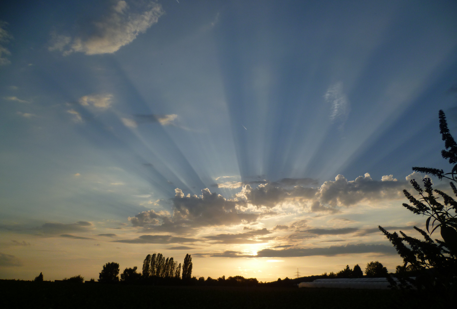 Sonnenuntergang Wittlicher Senke 8-2016