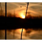 Sonnenuntergang Wolfsburg Mittellandkanal