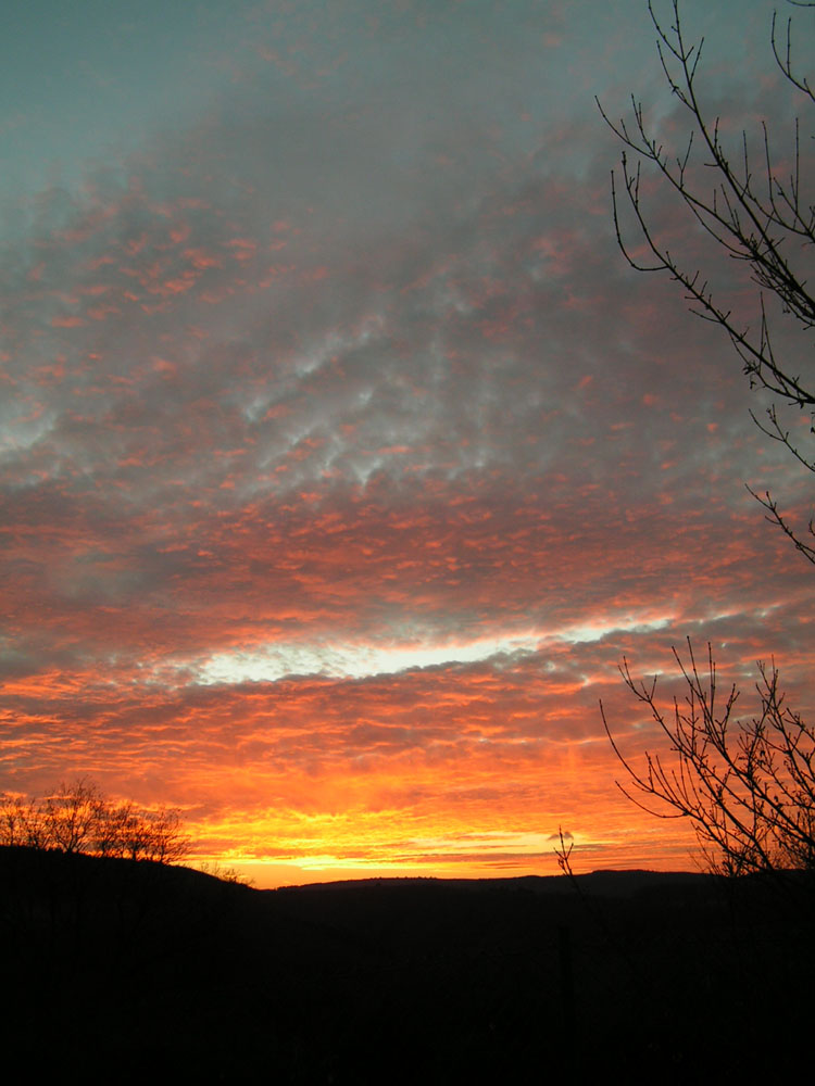 Sonnenuntergang Zell/Mosel