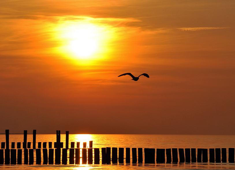 Sonnenuntergang Zingst