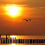 Sonnenuntergang Zingst