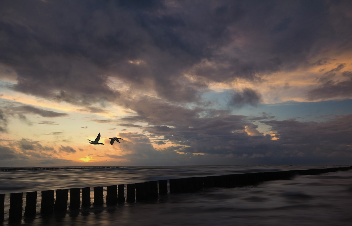 "Sonnenuntergang-Zingst"