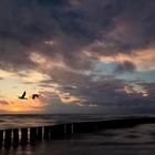 "Sonnenuntergang-Zingst"