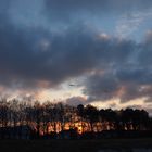 Sonnenuntergang Zingst