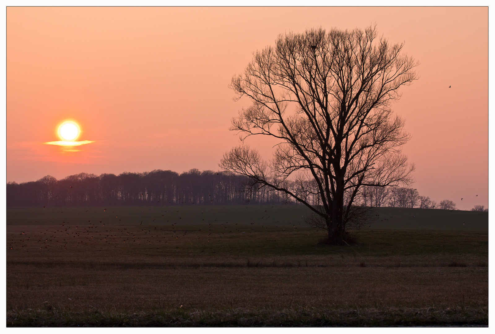 Sonnenuntergang zu Hause