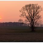 Sonnenuntergang zu Hause