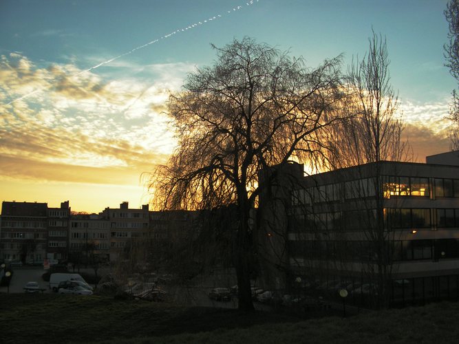 Sonnenuntergang zum Frühlingsanfang...