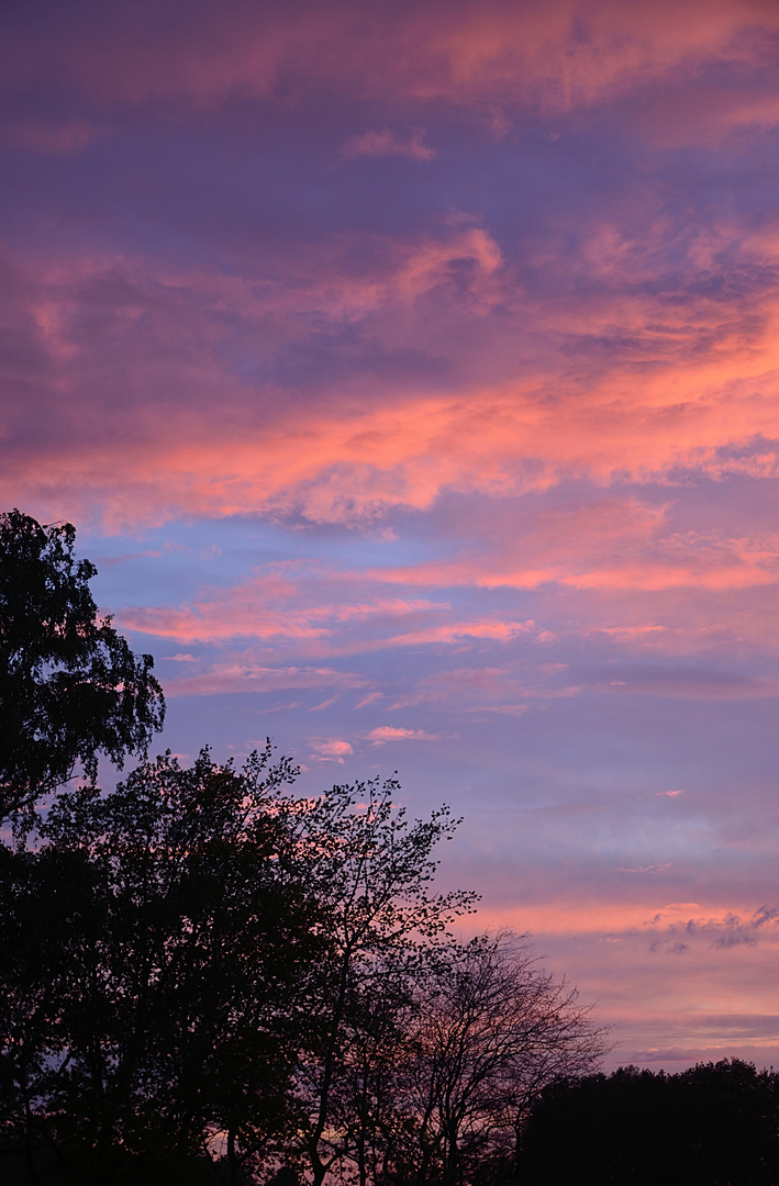 Sonnenuntergang zum Vatertag 2