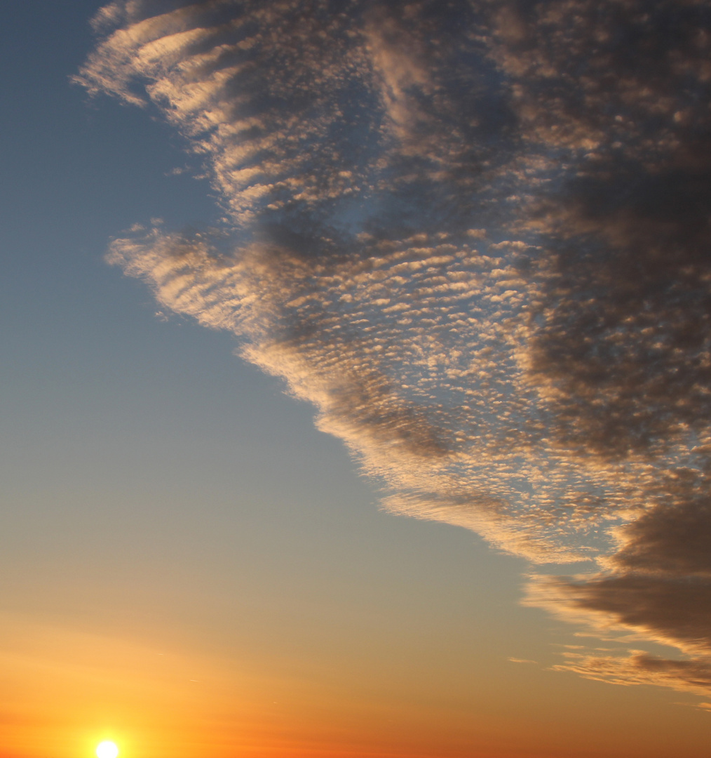 Sonnenuntergang zur Frankfurter Buchmesse