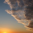 Sonnenuntergang zur Frankfurter Buchmesse