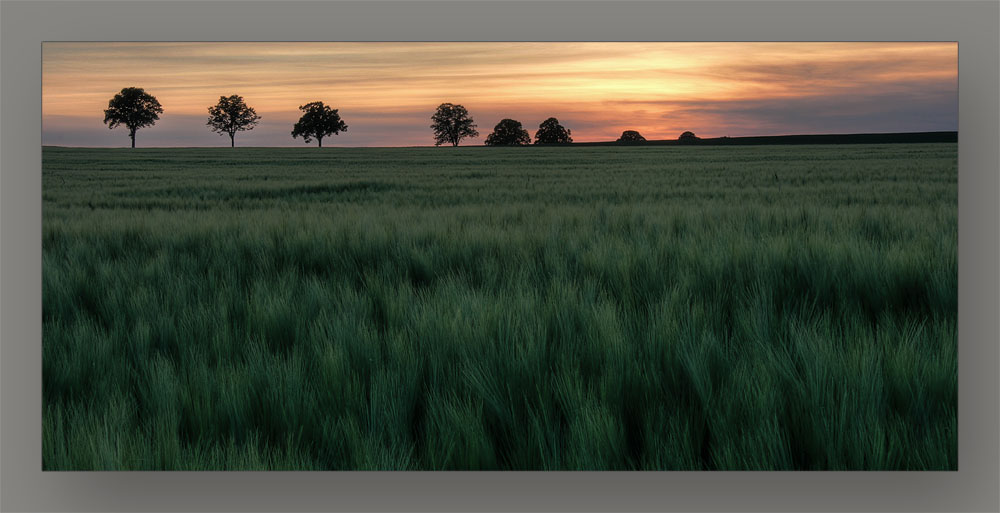 Sonnenuntergang zwischen Augsburg und FFB