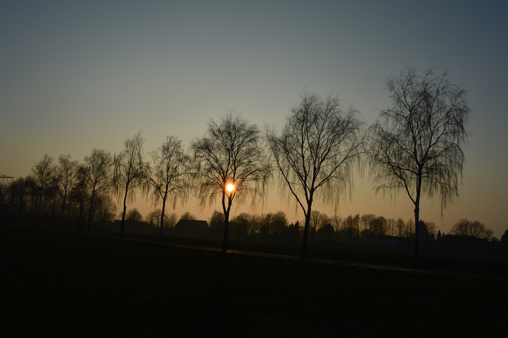 Sonnenuntergang zwischen Bäumen