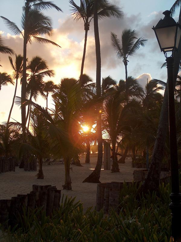 Sonnenuntergang zwischen Palmen