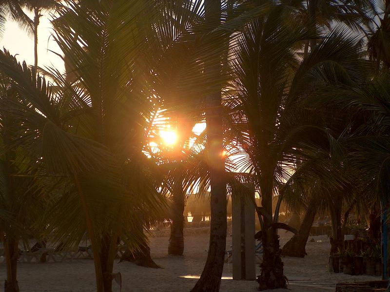 Sonnenuntergang zwischen Palmen, ein Traum