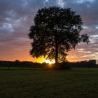 Sonnenuntergang zwischen Ramsdorf und Heiden