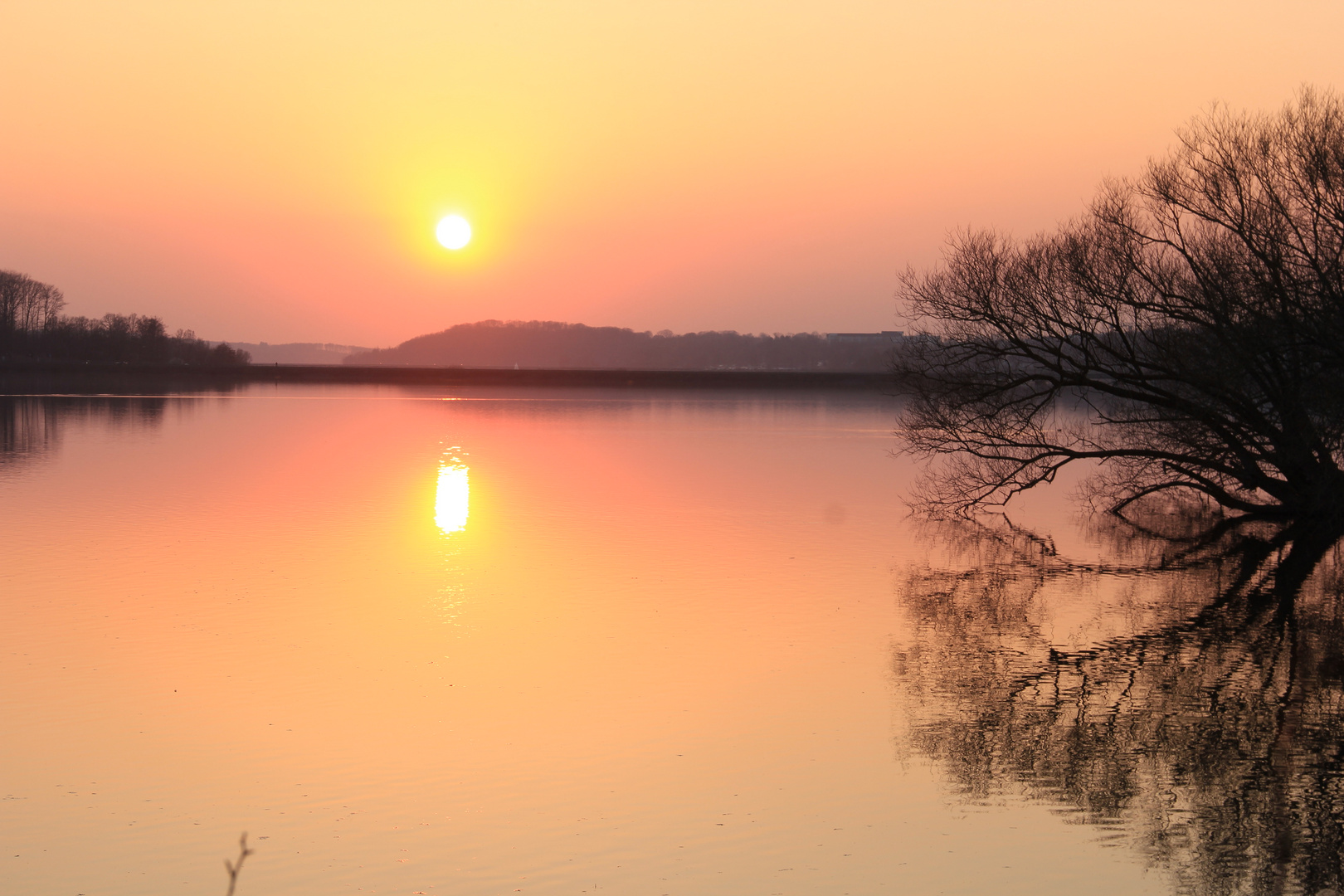 Sonnenuntergang01- 30.3.22 205 (1)