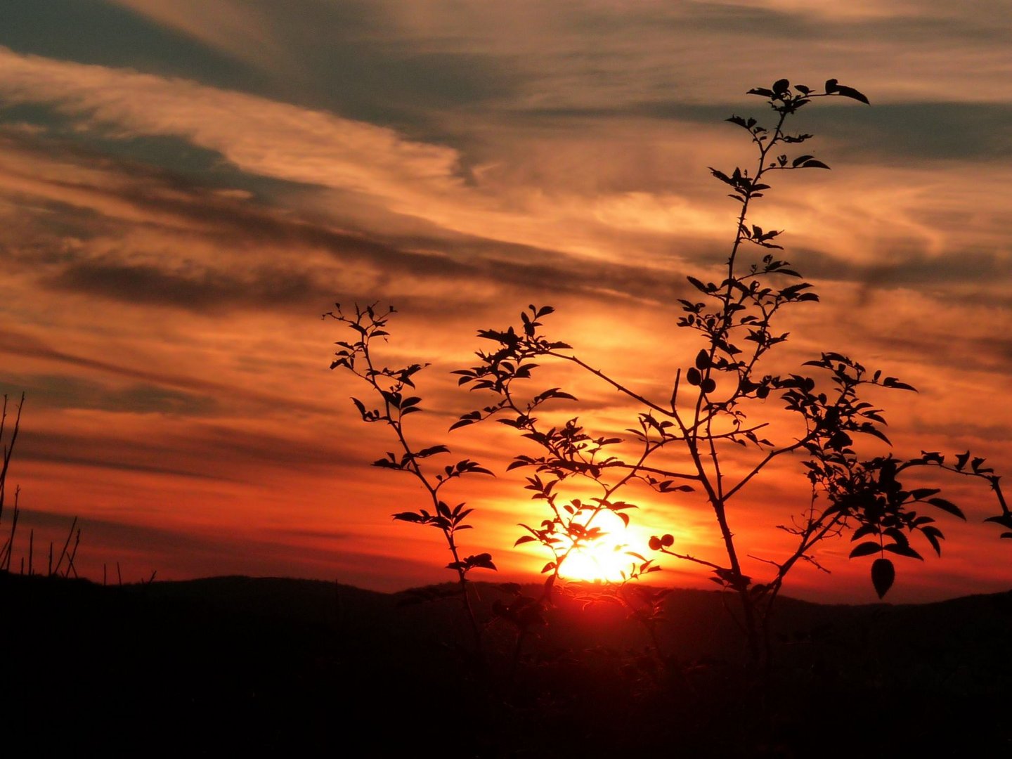 Sonnenuntergang1