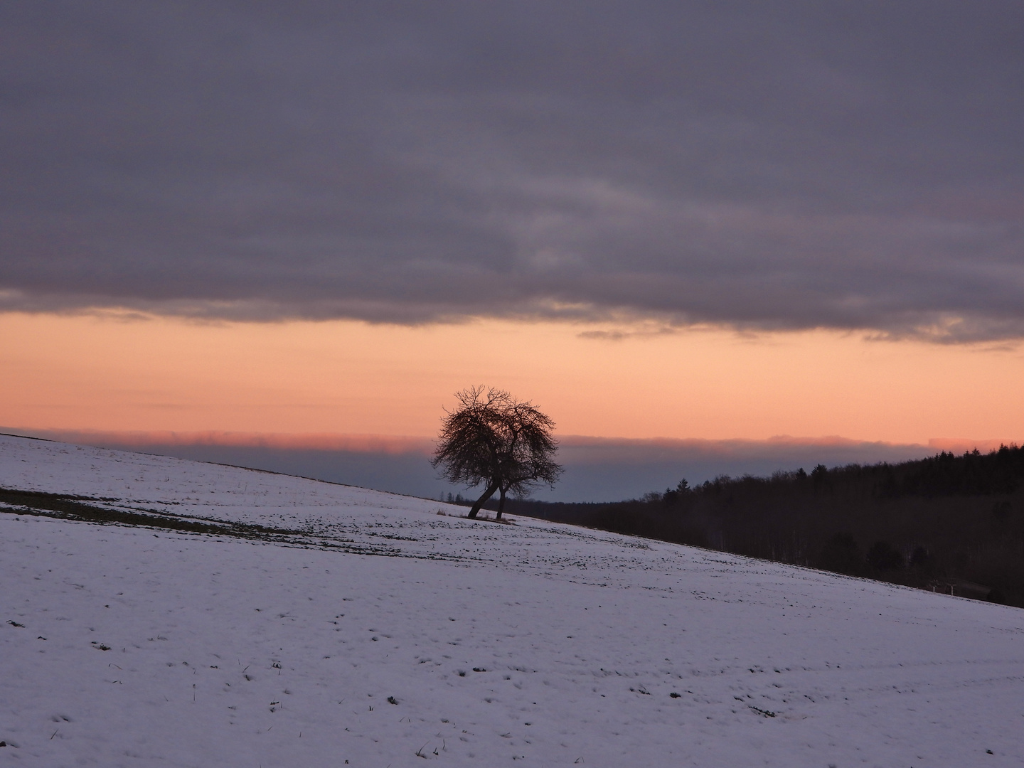 Sonnenuntergang_11.01.2022_01