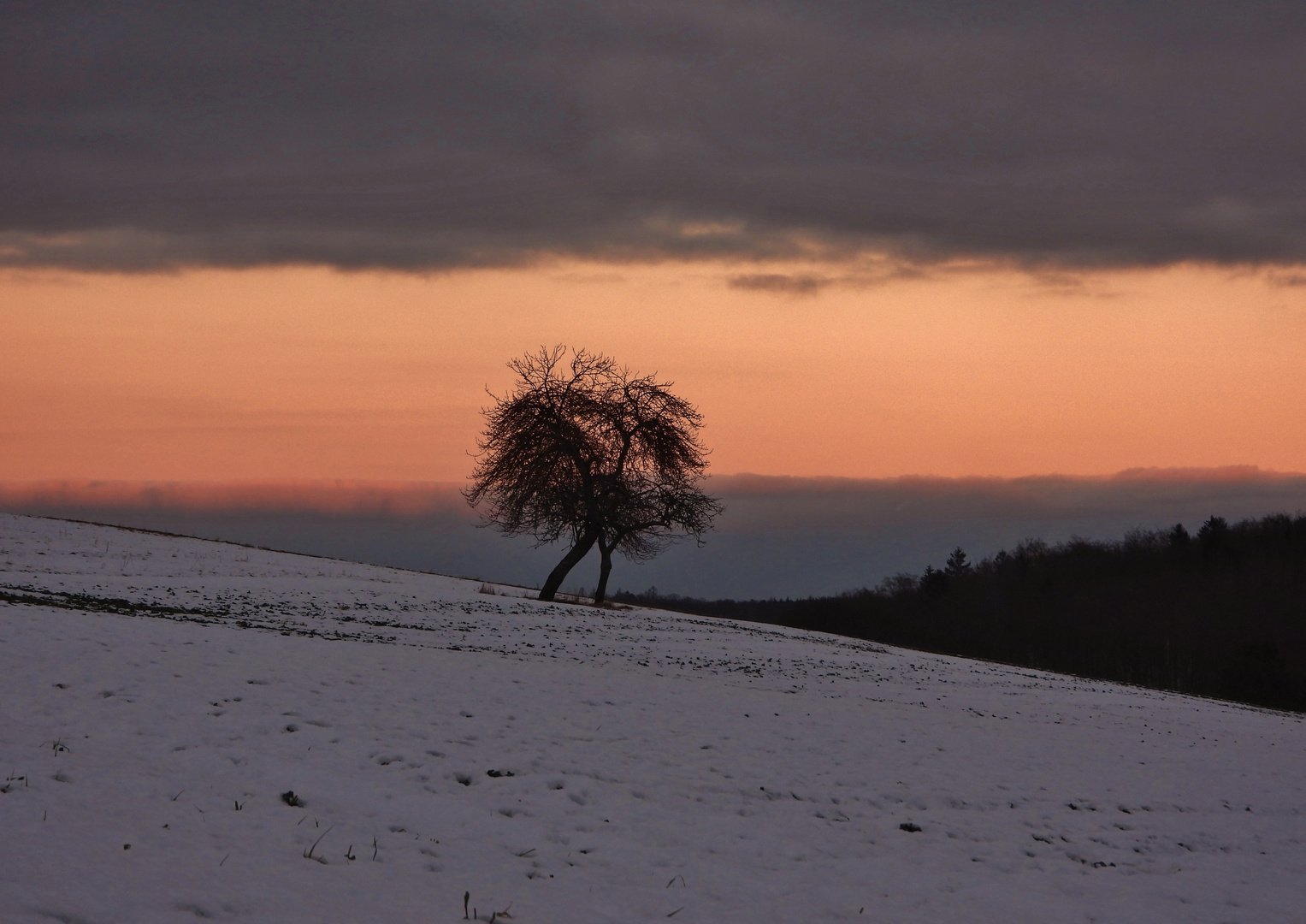 Sonnenuntergang_11.01.2022_02