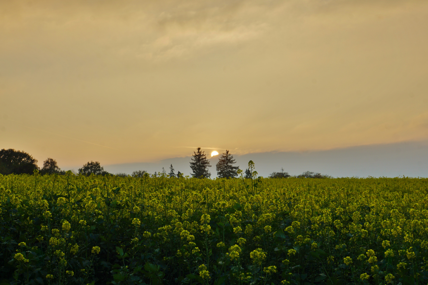 Sonnenuntergang_18.10.2018_02 