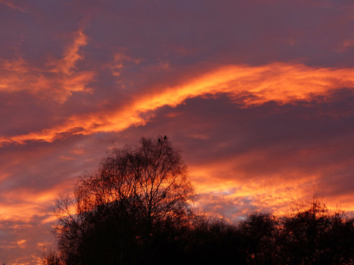 Sonnenuntergang_18.11.2018_03