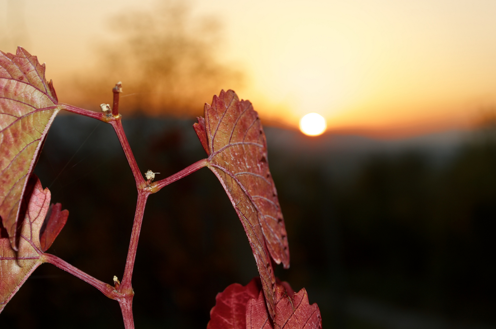 Sonnenuntergang2