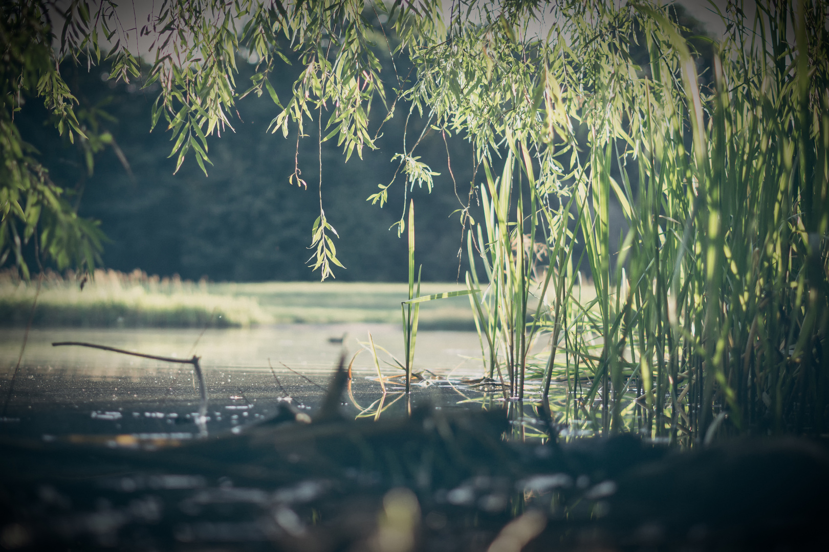 Sonnenuntergang_am_Teich