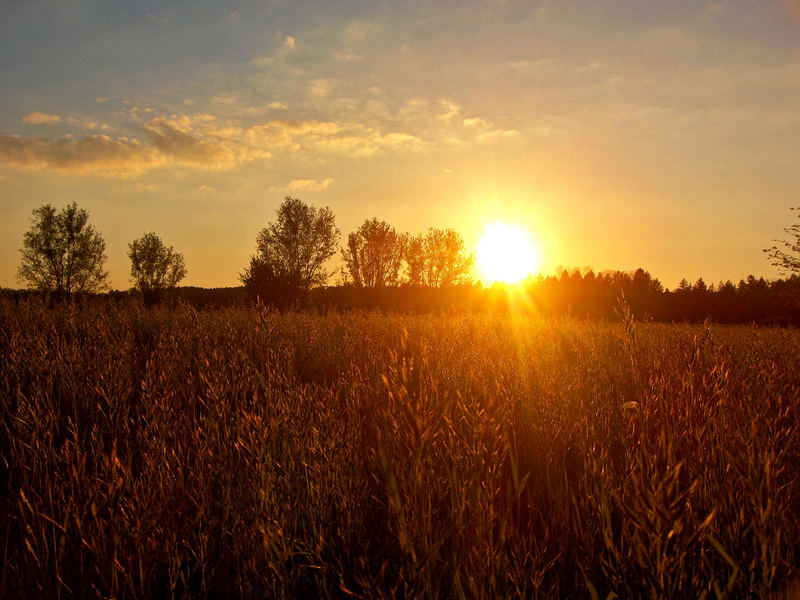 Sonnenuntergang@Bobingen