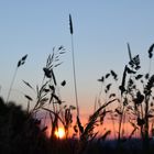 Sonnenuntergang...die Ruhe vor dem Sturm