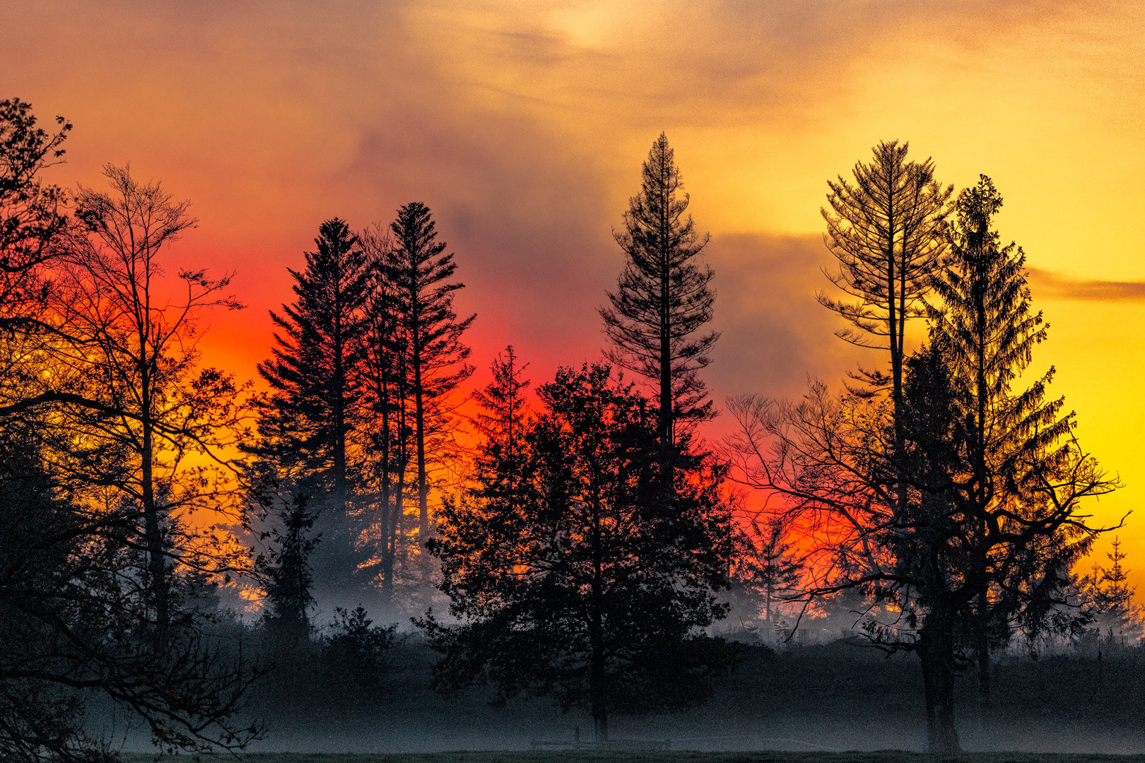 Sonnenuntergang_Horben