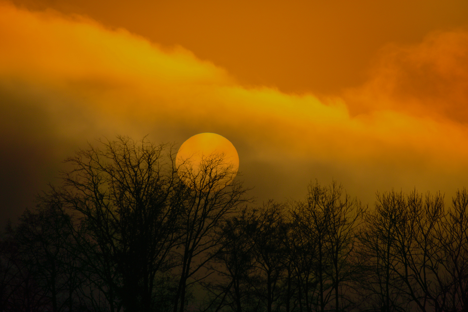 Sonnenuntergang_im _Nebel