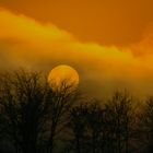 Sonnenuntergang_im _Nebel