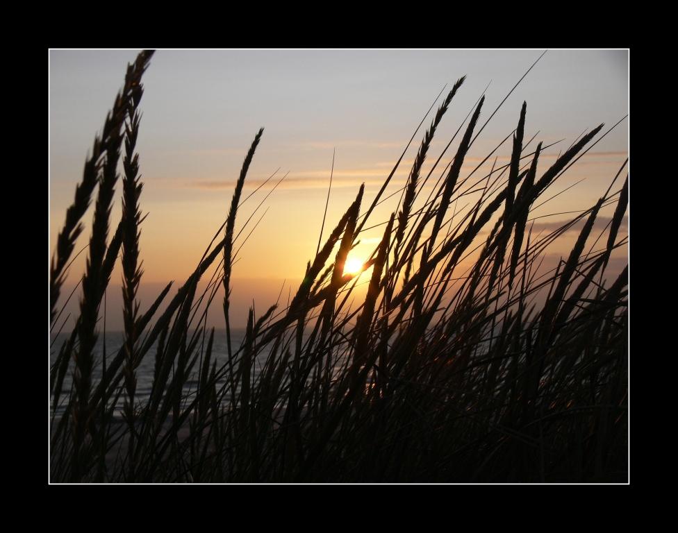 Sonnenuntergangs-Geshtrypp