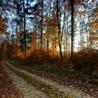 Sonnenuntergangs  im schwäbischen Wald.-Sunset in the Schwabian Forest.