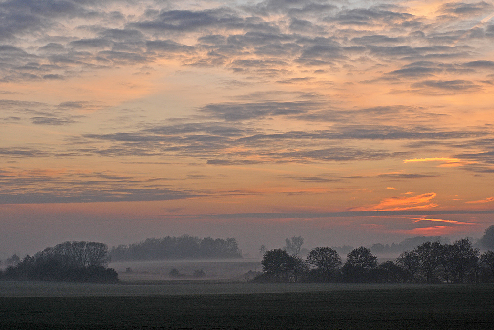 Sonnenuntergangs - Nebel