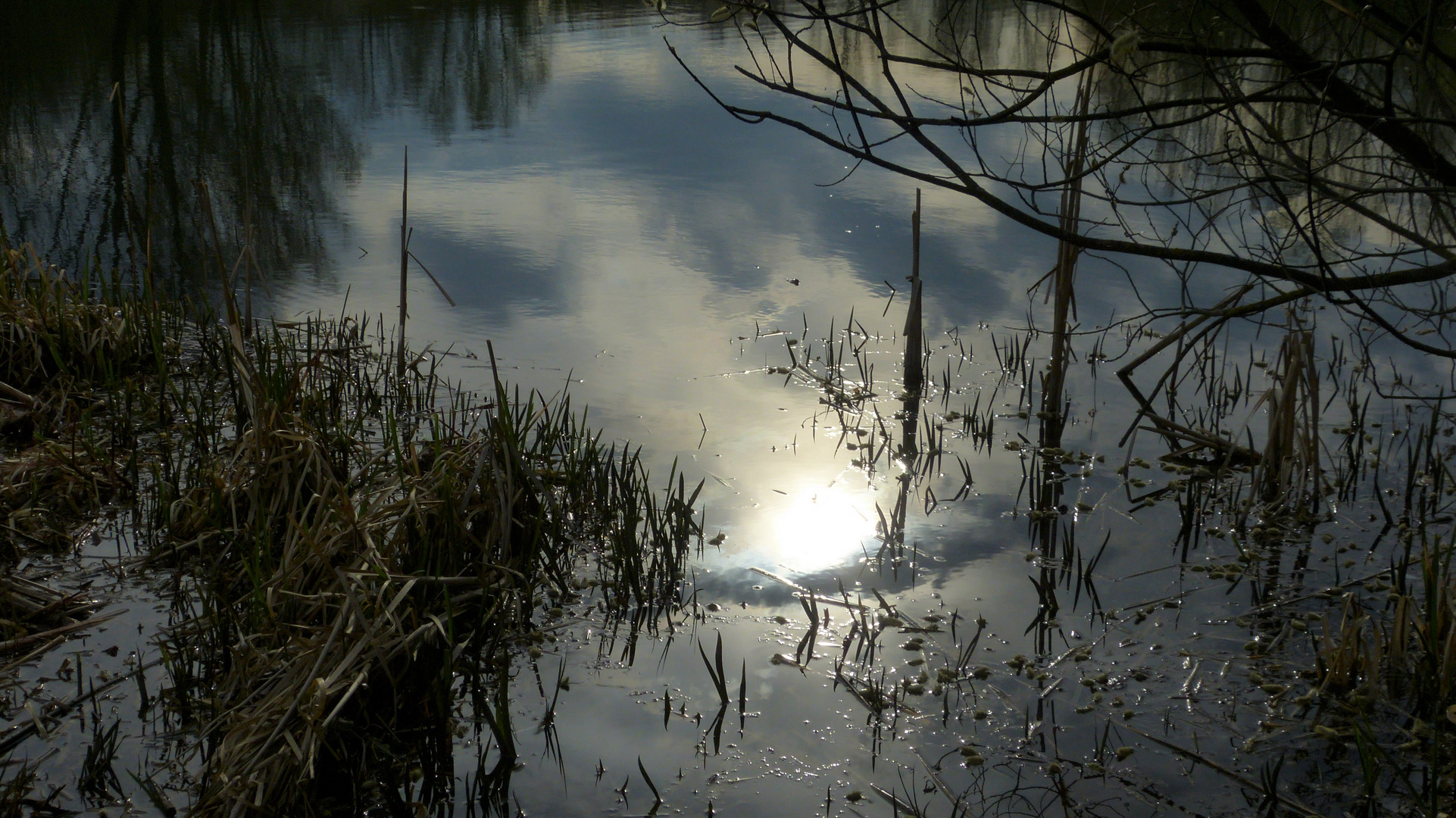 Sonnenuntergangs-Stimmung am kleinen Weiher...