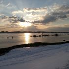 Sonnenuntergangs-Stimmung am Rhein in Laar, Duisburg