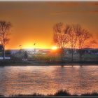 Sonnenuntergangsblick über den Rhein