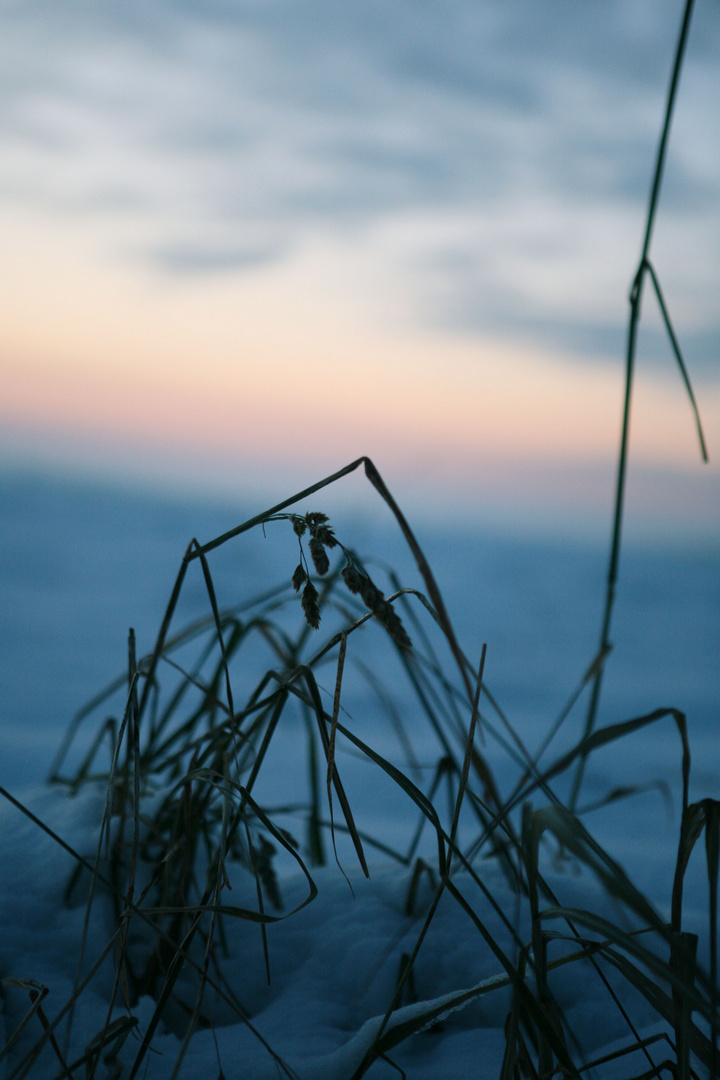 Sonnenuntergang+Schnee