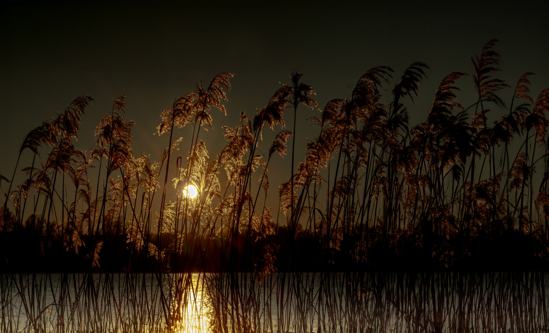 Sonnenuntergangsflüstern