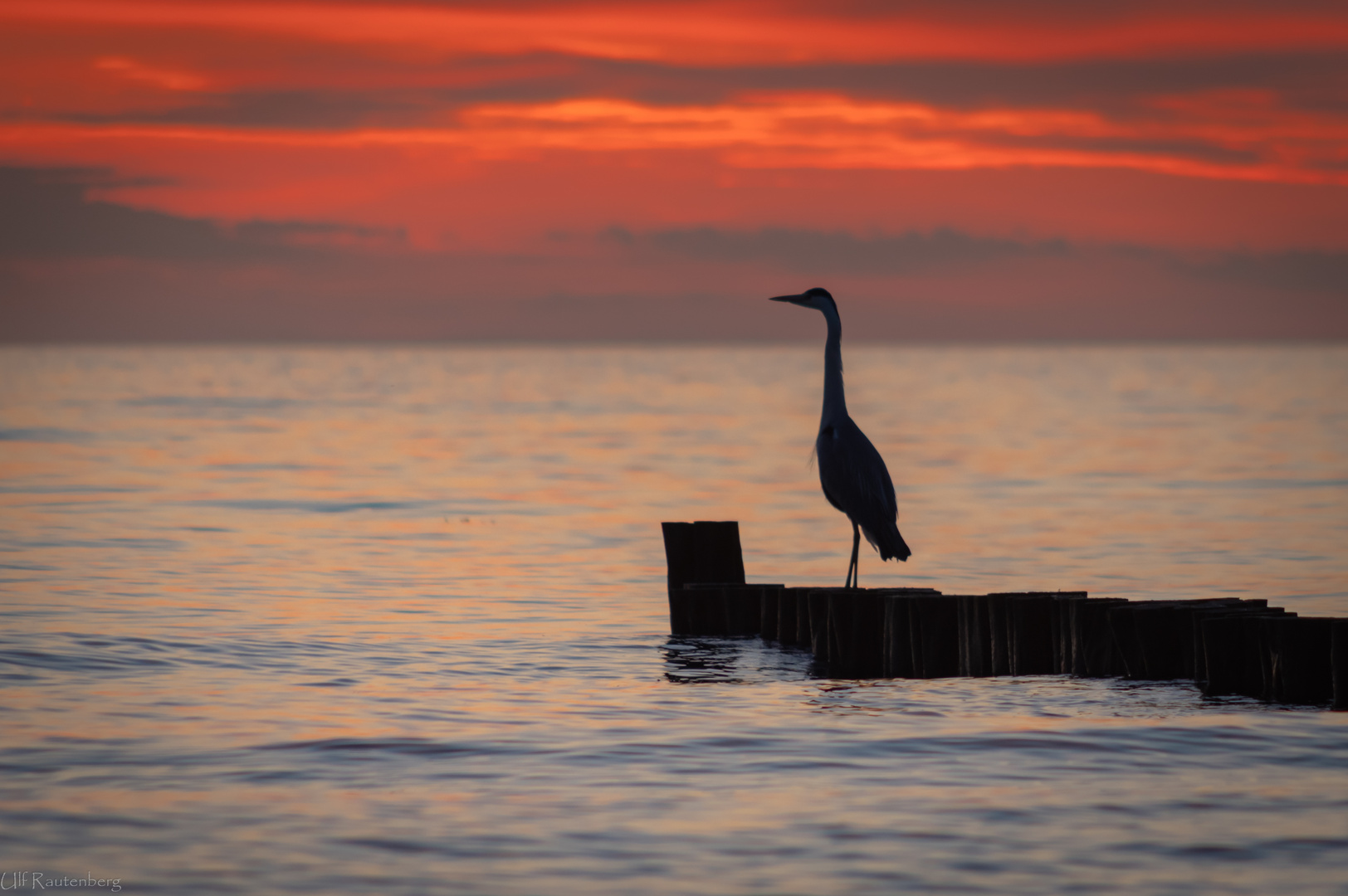 Sonnenuntergangsgenießer